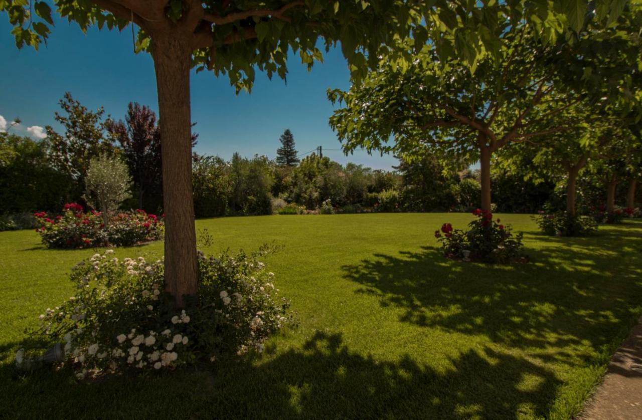 Villa Rodoula In Mystras Спарти Екстериор снимка